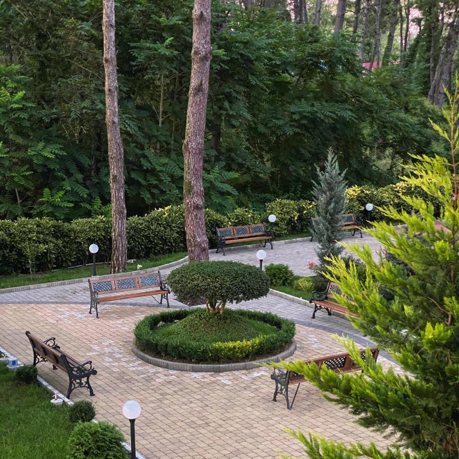Buxus Hotel Shekvetili Shekhvetili Exterior foto