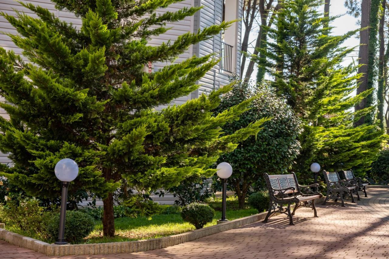 Buxus Hotel Shekvetili Shekhvetili Exterior foto