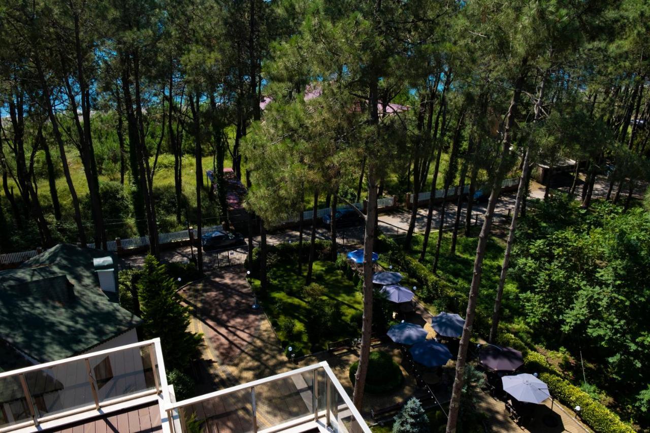 Buxus Hotel Shekvetili Shekhvetili Exterior foto