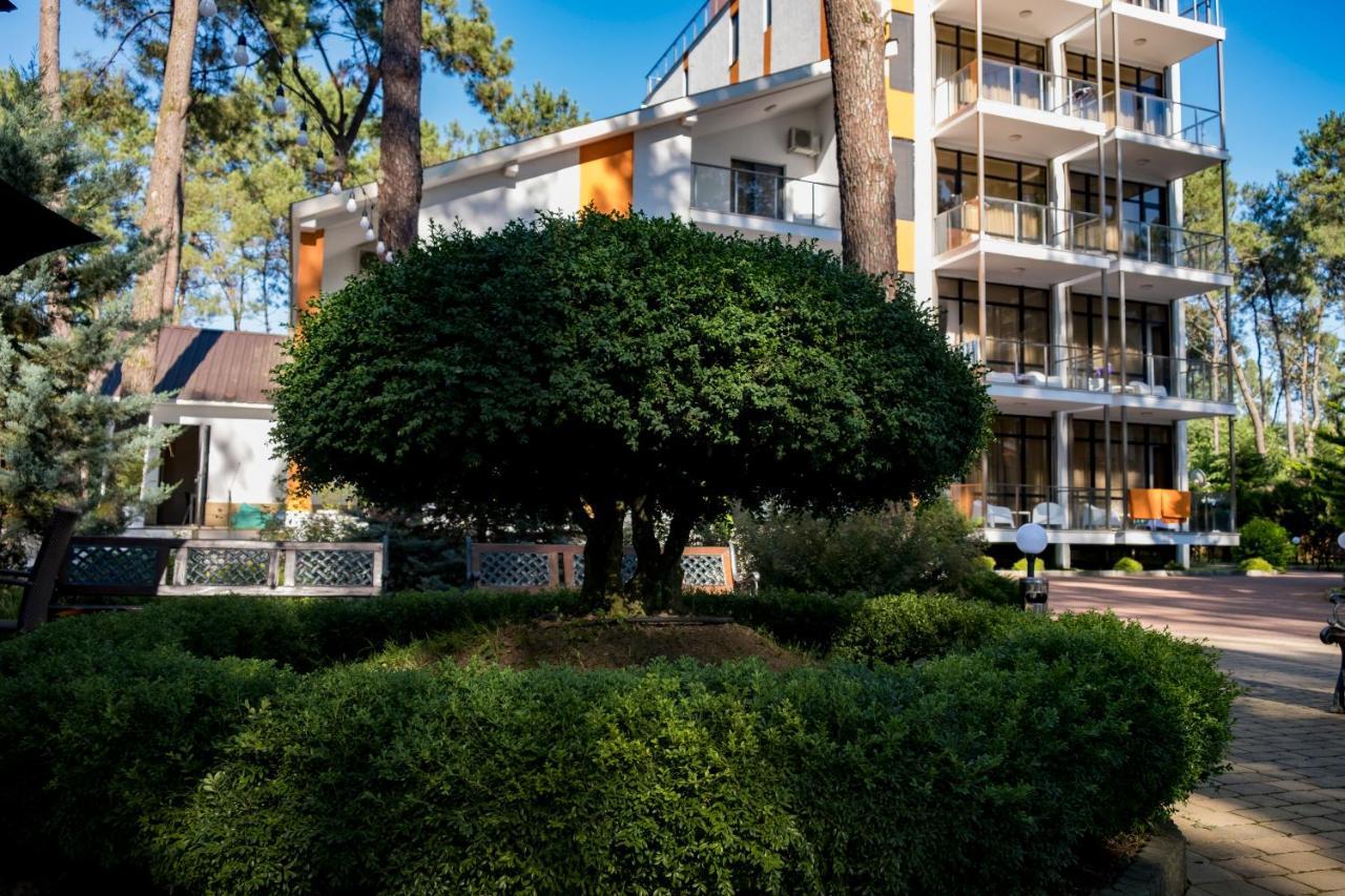 Buxus Hotel Shekvetili Shekhvetili Exterior foto